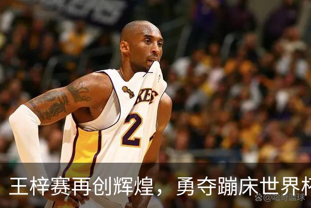 王梓赛再创辉煌，勇夺蹦床世界杯年度总冠军
